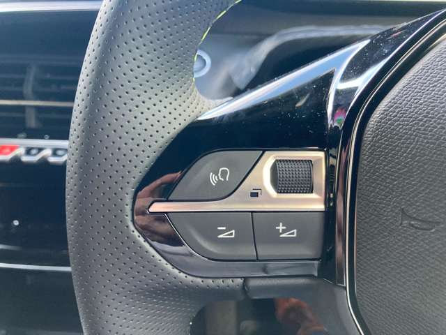 Peugeot SUV 2008 11