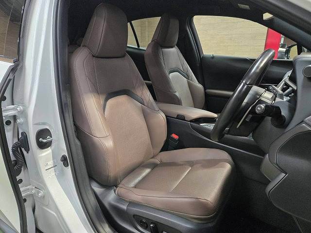 Lexus UX 11