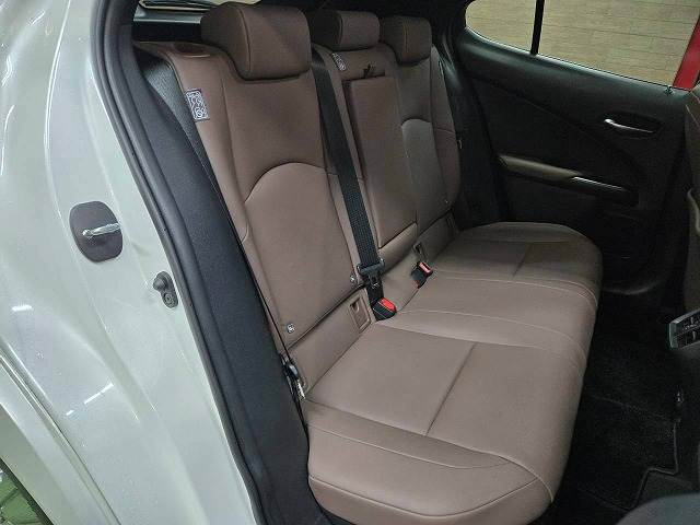 Lexus UX 12