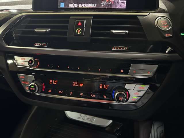 BMW X4 10