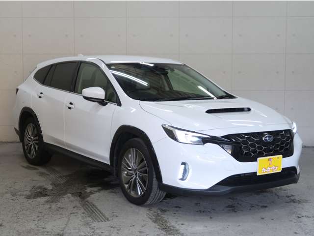 Subaru Levorg Layback 10