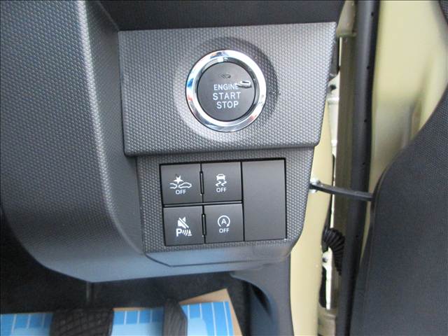Daihatsu Taft 11
