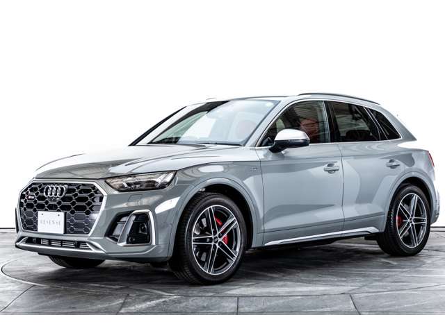 Audi SQ5 11