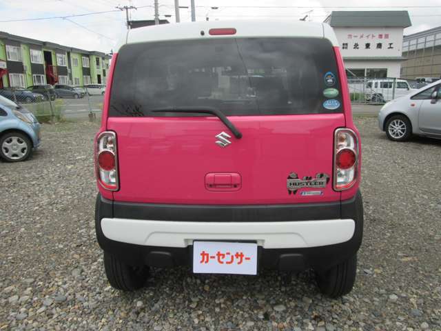 Suzuki Hustler 6