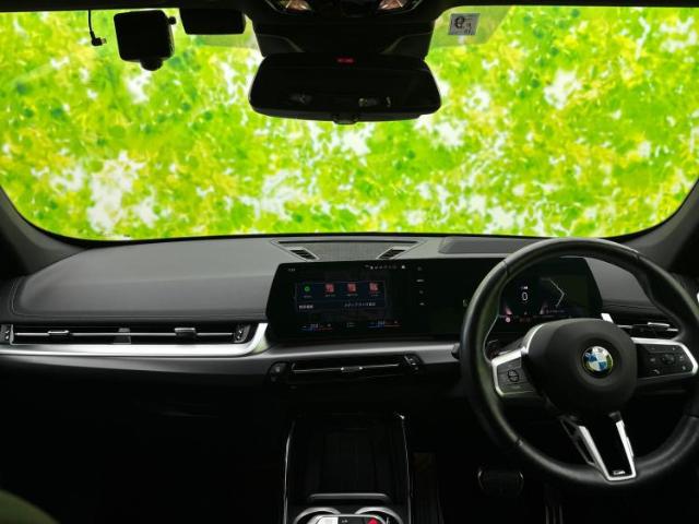 BMW X1 2