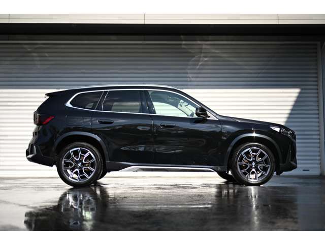 BMW X1 8