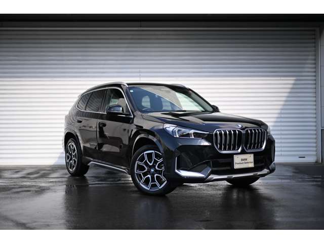 BMW X1 9