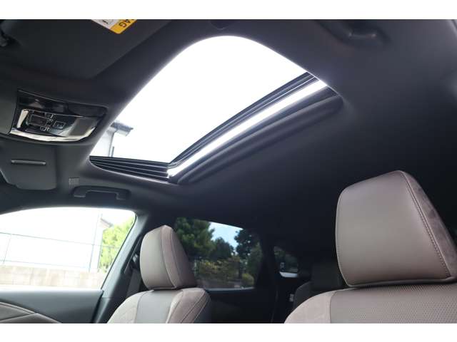 Lexus RX 9