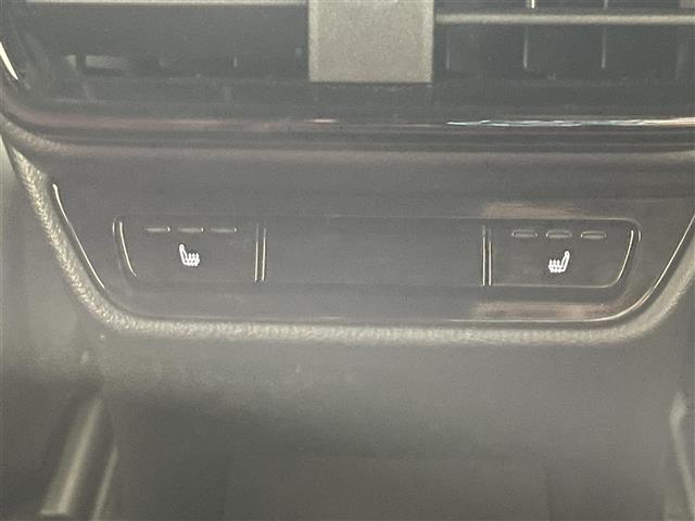 Lexus NX 11