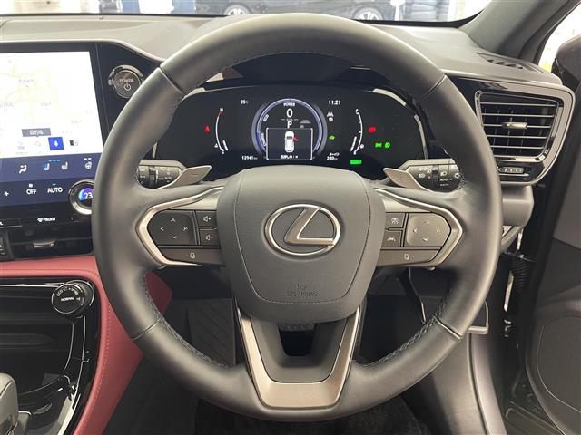 Lexus NX 12