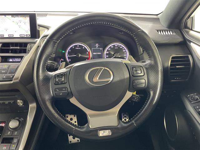 Lexus NX 10
