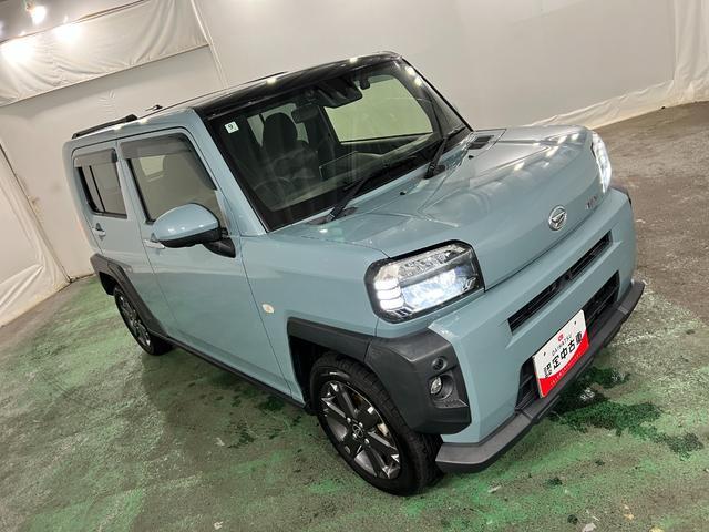 Daihatsu Taft 9