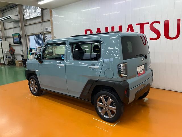 Daihatsu Taft 6