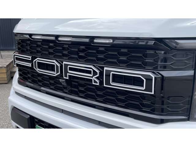 Ford F-150 11
