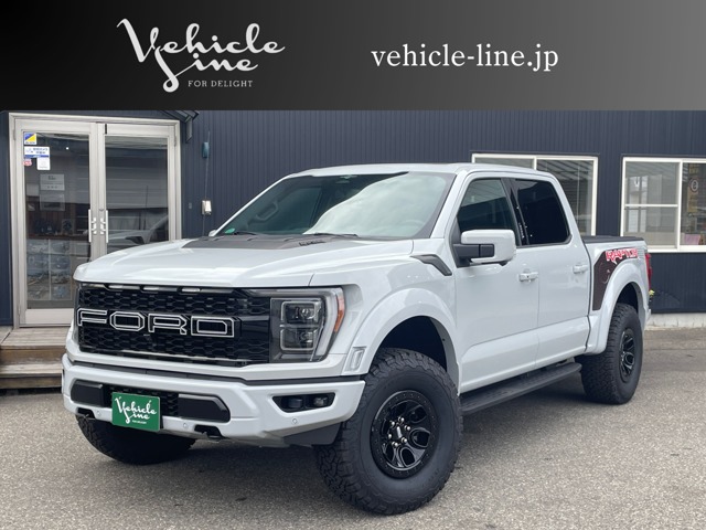 Ford F-150 4