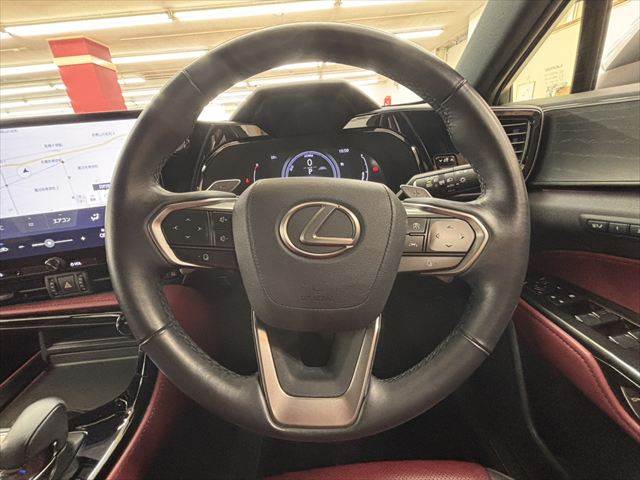 Lexus NX 11