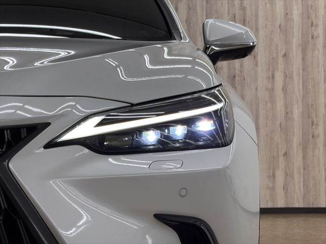 Lexus NX 12