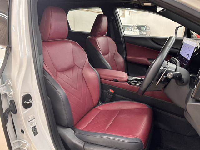 Lexus NX 8