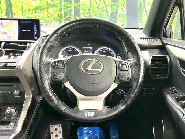 Lexus NX 12