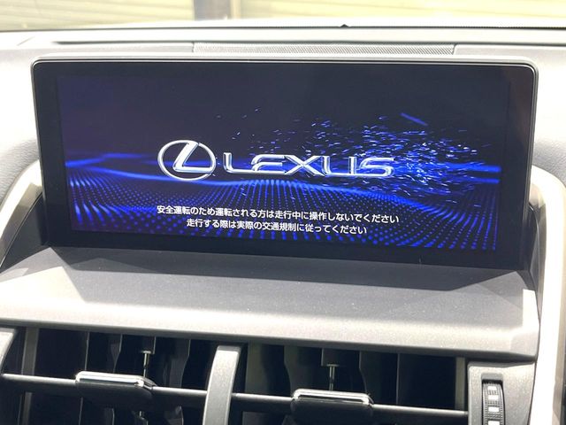 Lexus NX 4