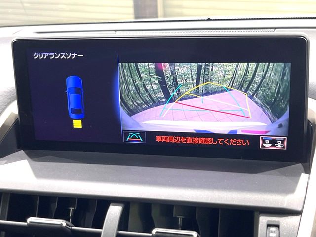 Lexus NX 5