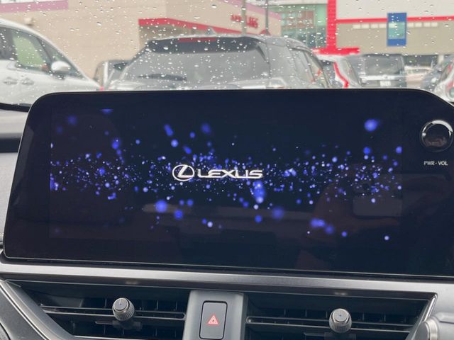 Lexus UX 4