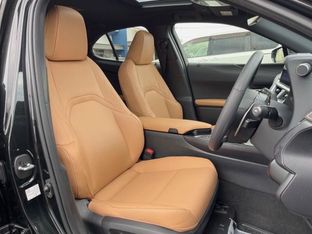 Lexus UX 10