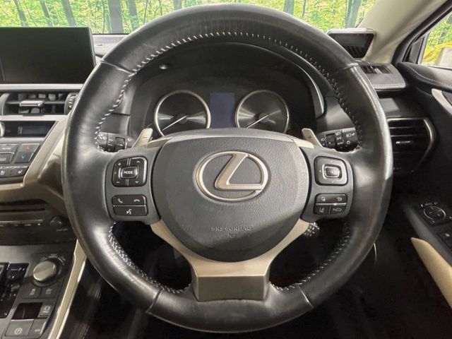 Lexus NX 11