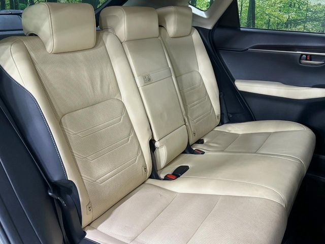 Lexus NX 9