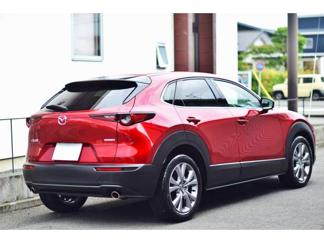 Mazda CX-30 10