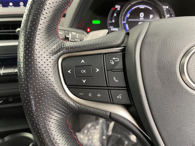 Lexus UX 10