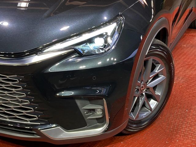 Lexus LBX 12