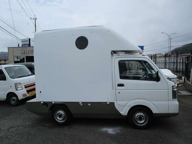 Suzuki Carry 10