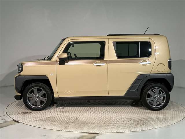 Daihatsu Taft 8