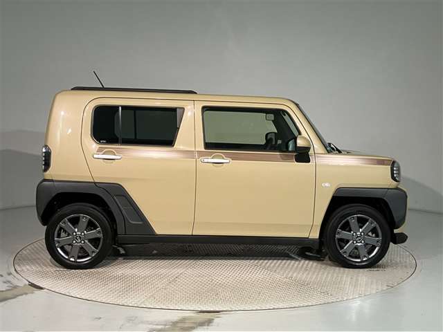 Daihatsu Taft 9