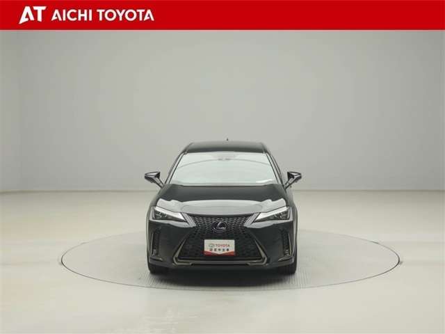 Lexus UX 9