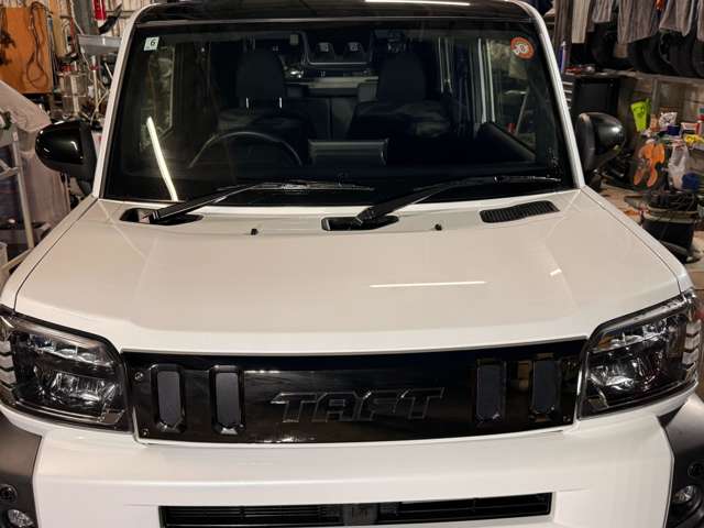 Daihatsu Taft 8