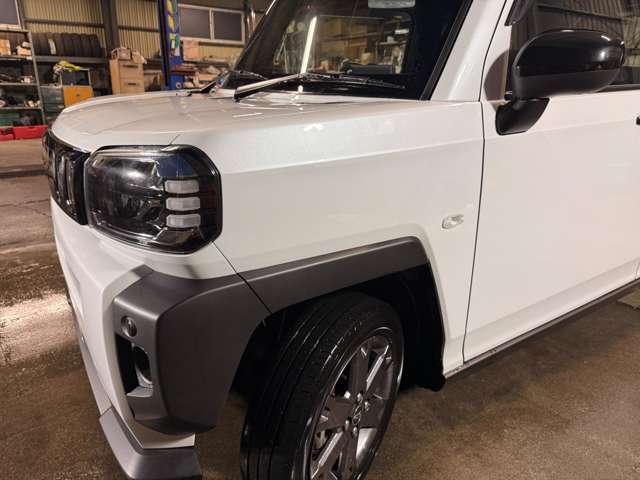Daihatsu Taft 9