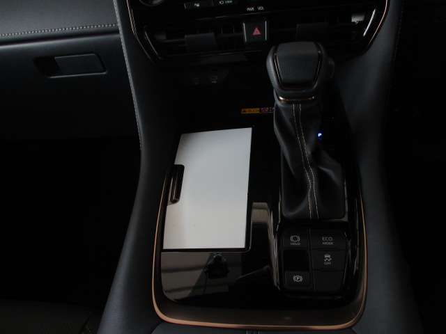 Toyota Alphard 11