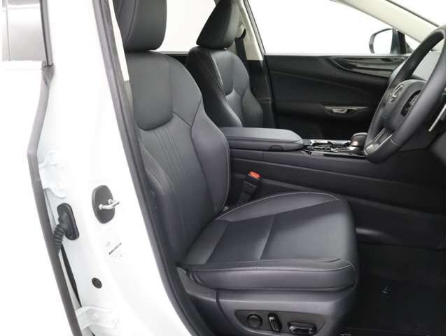 Lexus NX 12