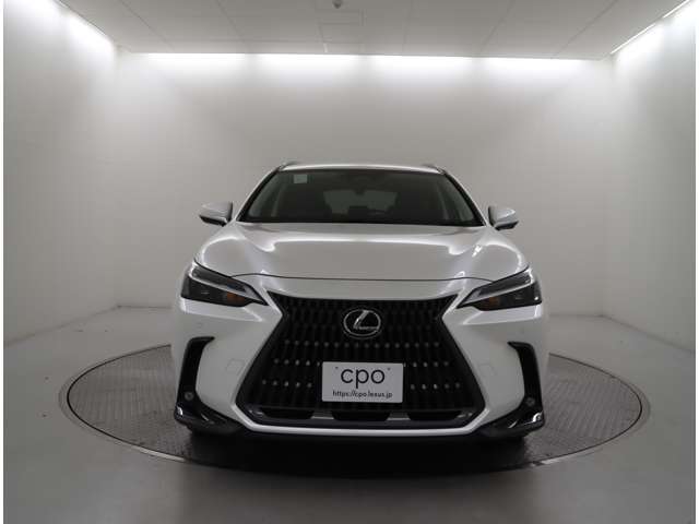 Lexus NX 7