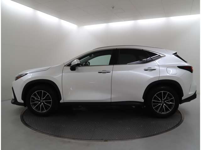 Lexus NX 8