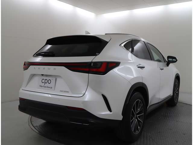 Lexus NX 9