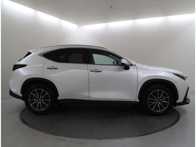 Lexus NX 10
