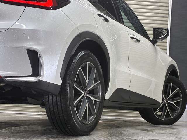 Lexus LBX 11
