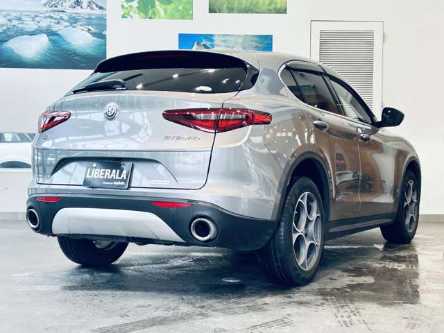 Alfa Romeo Stelvio 10