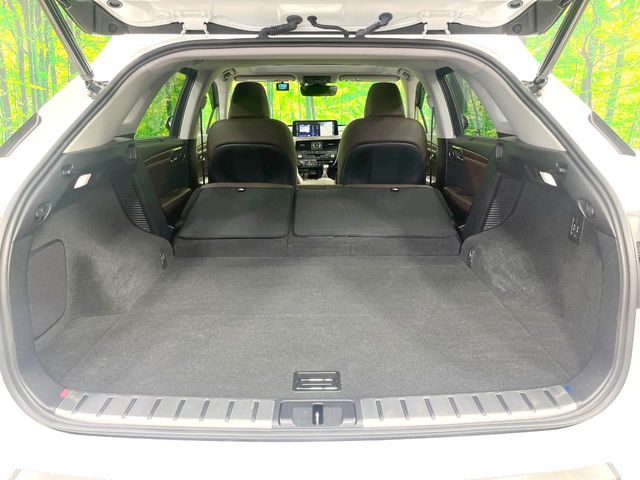 Lexus RX 11