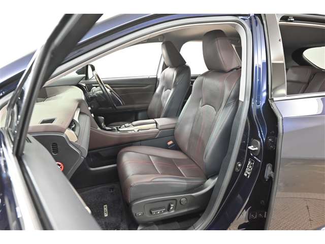 Lexus RX 11