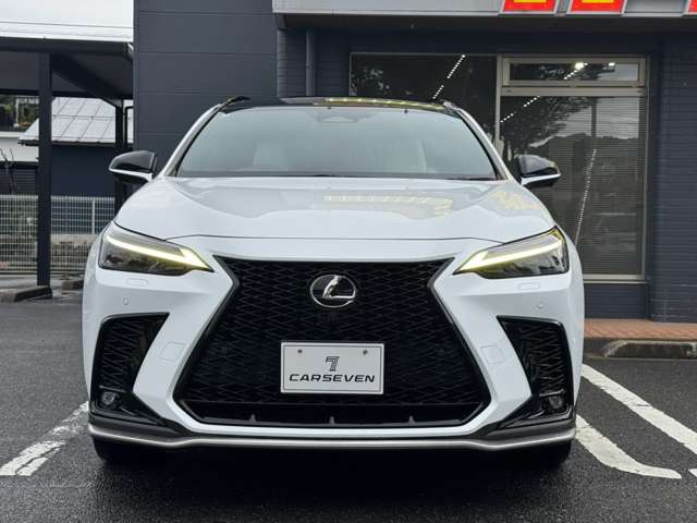 Lexus NX 6