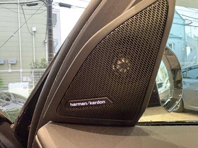 BMW X3 10